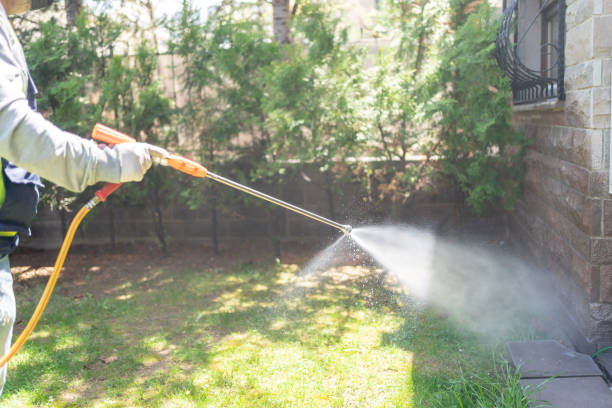 Best Residential Pest Control  in Leawood, KS